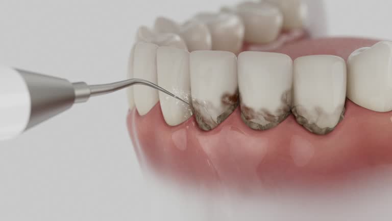 Reliable Dental contractor in Lawrenceville, VA by Dentist Open Now